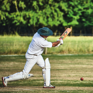 Bgitimelapse gully cricket